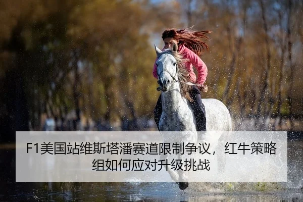 F1美国站维斯塔潘赛道限制争议，红牛策略组如何应对升级挑战